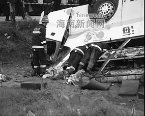 雄县惊魂，高速车祸背后的警示与反思