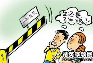 四川单独二胎政策，影响、挑战与未来展望