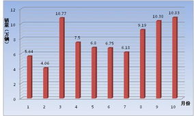 四川单独二胎政策，影响、挑战与未来展望