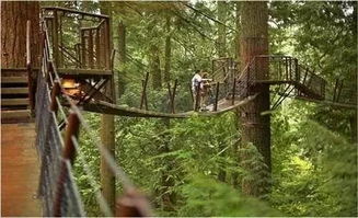 森林公园管理办法，保护与开发的平衡之道