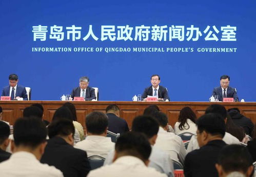 青岛地税局，税收服务的创新与挑战