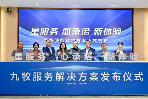 青岛地税局，税收服务的创新与挑战