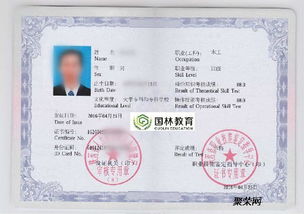 检验鉴定资格考试，开启专业之门的金钥匙