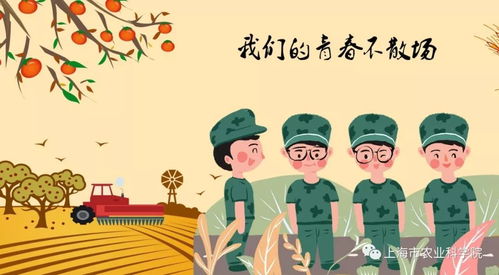 余姚暑假工，青春的汗水与成长