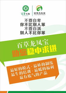 新兽药研制管理办法，保障动物健康与公共卫生安全的基石
