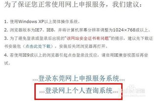 东莞社保个人账户查询指南，了解您的权益，保障您的未来
