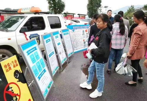 重庆市司法局，法治之光，照亮山城