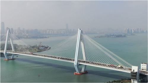 威海人事局，人才引进与服务的桥梁