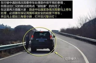 阜新市交通违章，安全出行的红线，不容忽视