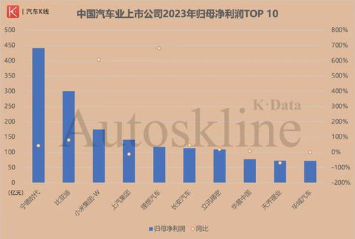 2023年企业利润增长与分配策略，如何实现股东与公司双赢