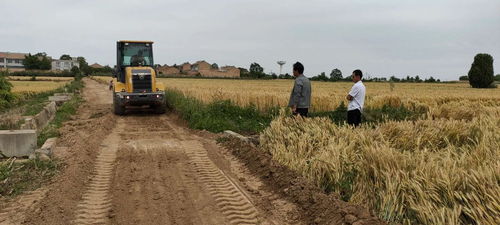 河北省劳动保障网，劳动者权益的守护者