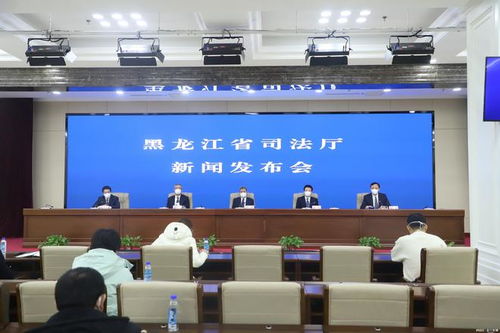 黑龙江省司法厅网站，法律服务与信息公开的桥梁