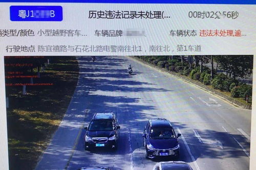 富锦交通违章查询，如何高效处理违章记录，保障行车安全