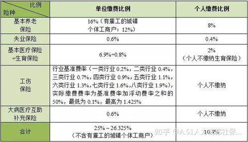 深入解析，个人缴纳养老保险比例及其影响