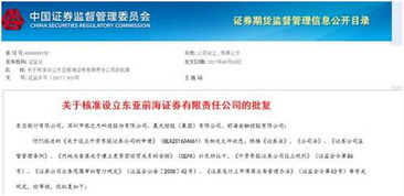 深入解析，个人缴纳养老保险比例及其影响