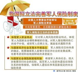 探索国门，了解出境入境管理法的重要性