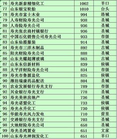 中国纳税百强，企业责任与经济活力的体现