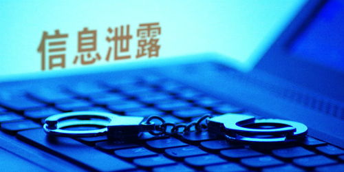 1994年审计法，守护国家经济安全的法律盾牌