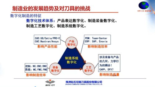 深入了解滞纳金，定义、影响及如何避免
