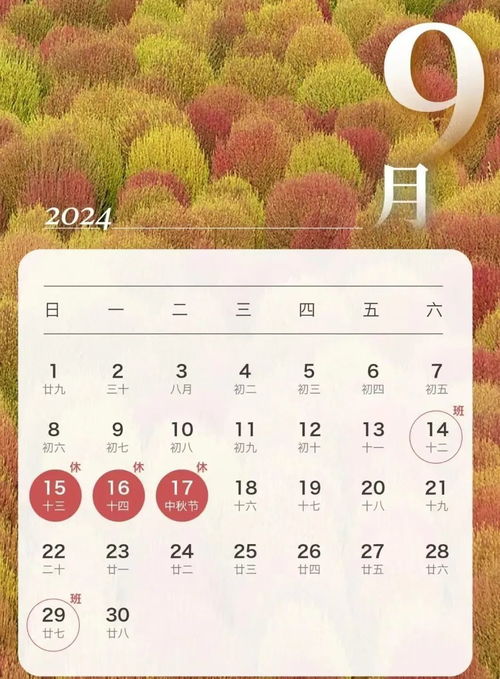 2024年元旦假期指南，如何充分利用你的三天假期