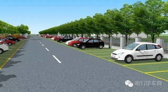 停车位的艺术，尺寸的奥秘与生活的影响