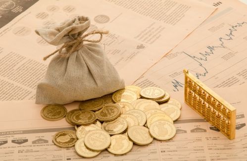 如何计算投资回报率，深入理解与实用指南