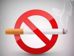 驾驶中吸烟，法规解读与安全警示