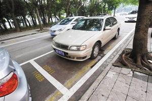 驾驶证档案编号查询全攻略，如何快速查找你的驾驶信息