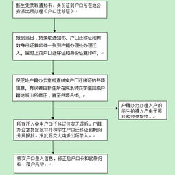 轻松入台，详细解读入台证办理流程及注意事项