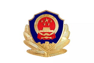 江阴公安局，守护城市安全的坚强盾牌