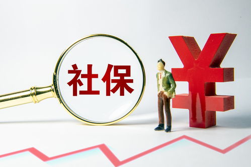 养老金领取，保障未来，规划现在
