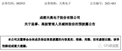财务部负责人，企业财务健康的守护者