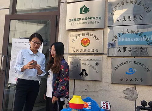 如何使用身份证查询驾驶证信息，一个简单明了的指南