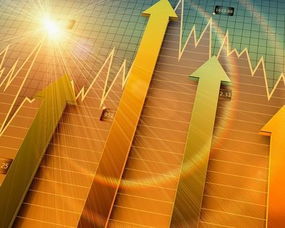 股市冲浪，驾驭股票投资的风险之浪