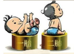 广东单独生二胎政策，家庭规划与社会影响的双重考量