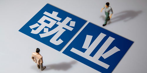 日照零工市场的机遇与挑战，探索灵活就业的新时代