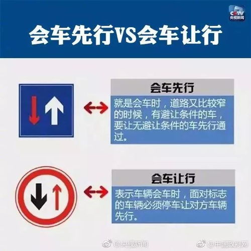 杭州交警违章查询，简单步骤与实用指南