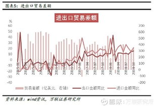 深入了解其他货币资金，概念、应用与投资策略