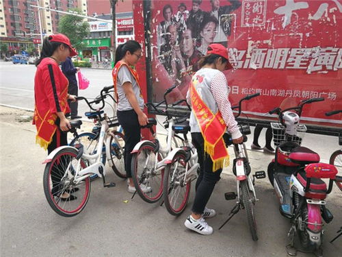 绿色出行新风尚，共享单车新规带来的变化与机遇