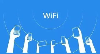 成人网论坛，网络时代的双刃剑