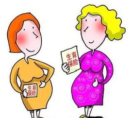 二胎生育险报销标准，全面解读与实用指南