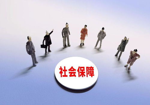 提前退休政策，规划未来，享受生活