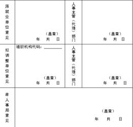 毕业生档案打回原籍，流程、注意事项与策略