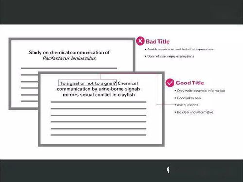 版权声明，保护创意，尊重原创 英文版权声明的重要性与撰写指南
