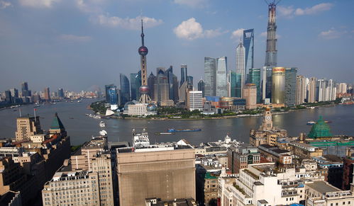 上海市交通港口局，城市交通的心脏