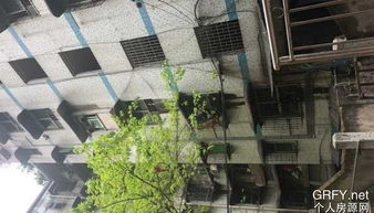 重庆二手房市场的桥梁，中介的角色与服务