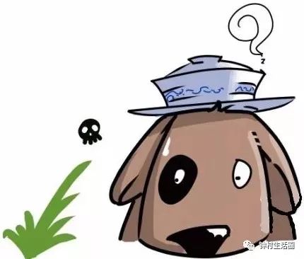 小区投毒事件，如何保护我们的宠物和社区安全