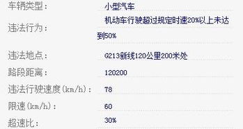 玉溪交通违章查询，如何高效获取违章信息及处理建议