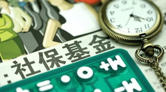 社保资金的提取，规则、条件与实际操作指南