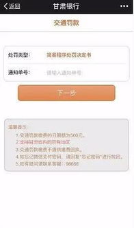 一键掌握，如何轻松查询车辆违章罚款信息